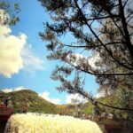 La Presa de la Olla : Guanajuato revive una tradición de casi tres siglos
